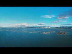 نظام رادار مراقبة ساحلية متطور للغاية بمسافة 5.2 كيلومتر مع تتبع الهدف والتحذير من الالتقاط