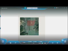 الربط الكهروضوئي